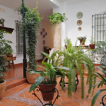 Hotel Maestre *