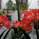Maestre Cordova