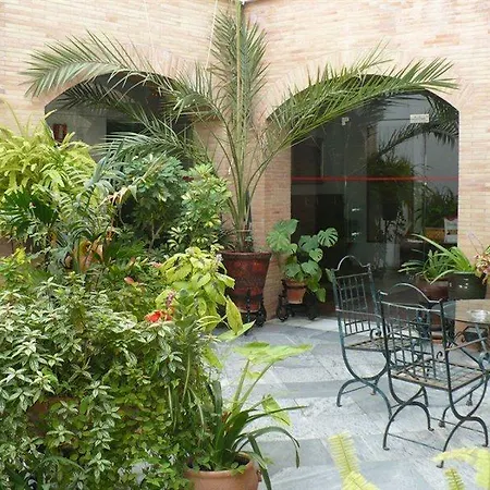 Maestre * قرطبة