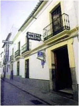 Hotel Maestre *