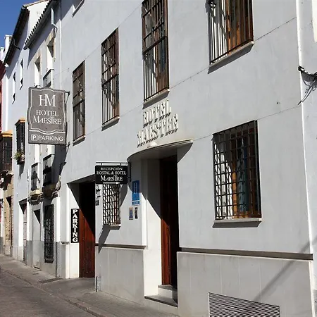 فندق Maestre قرطبة
